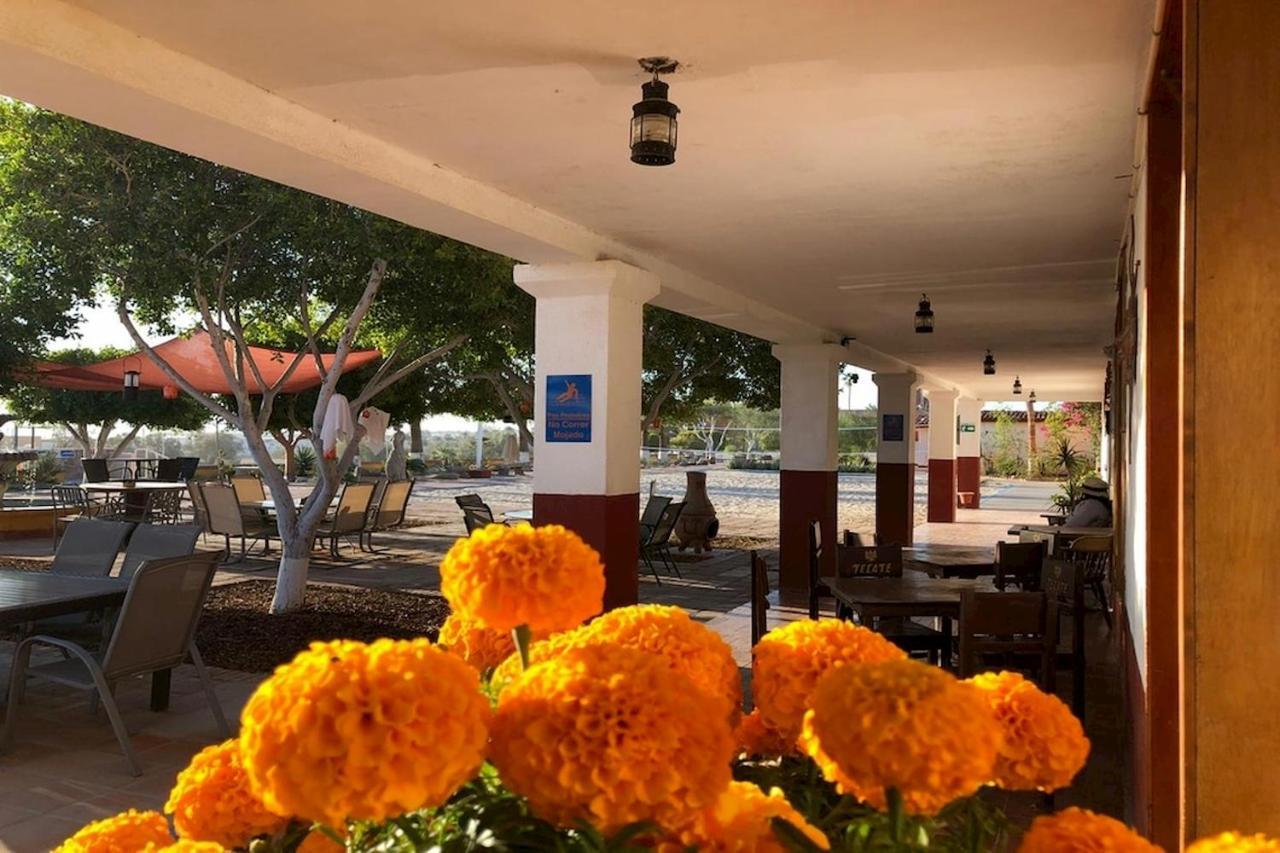 Hotel Las Palmas San Felipe  Exterior photo